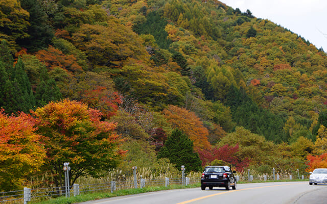 せせらぎ街道・めいほう高原紅葉狩りコース「温泉と、おいしいものと良い景色。明宝エリアをぐるっとドライブ」