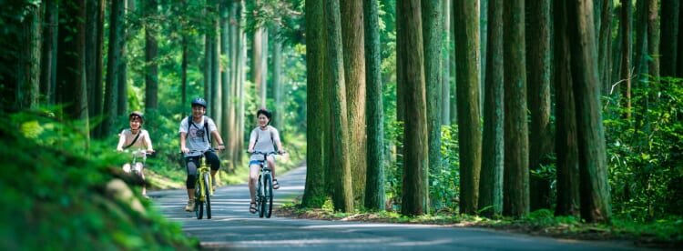 <C_003>Gujo Hachiman ~ Minami Nagaragawa Cycling Cruise and Glamping Feel the nature with your five senses and enjoy an outdoor trip!