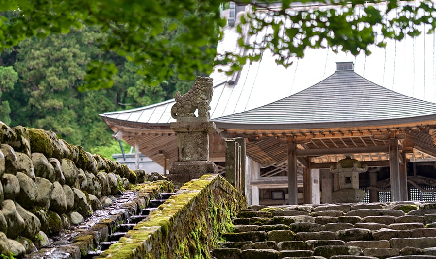 <C_010>Trip to Amidagataki & Hakusan Culture Museum Natural & Relaxing A Trip to Visit a Famous Waterfall Amidagataki and Hakusan Culture