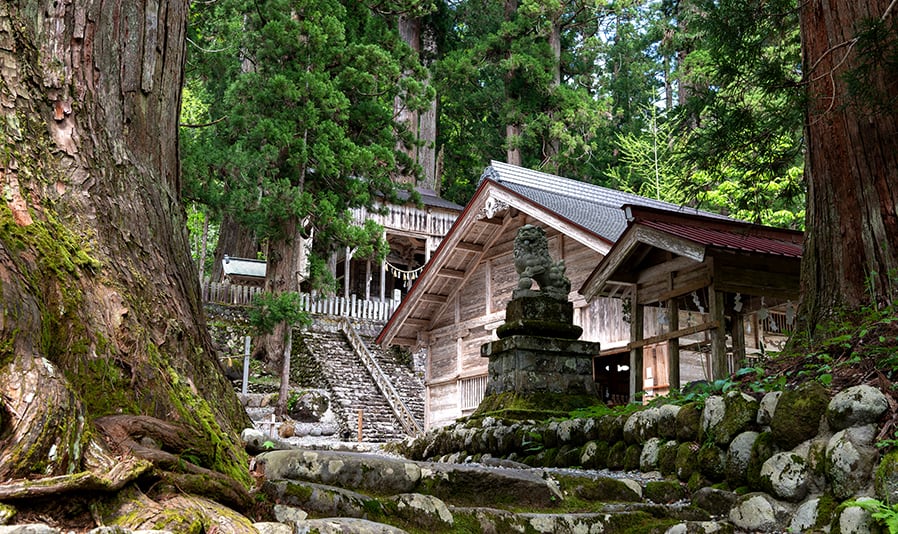 <C_010>Trip to Amidagataki & Hakusan Culture Museum Natural & Relaxing A Trip to Visit a Famous Waterfall Amidagataki and Hakusan Culture