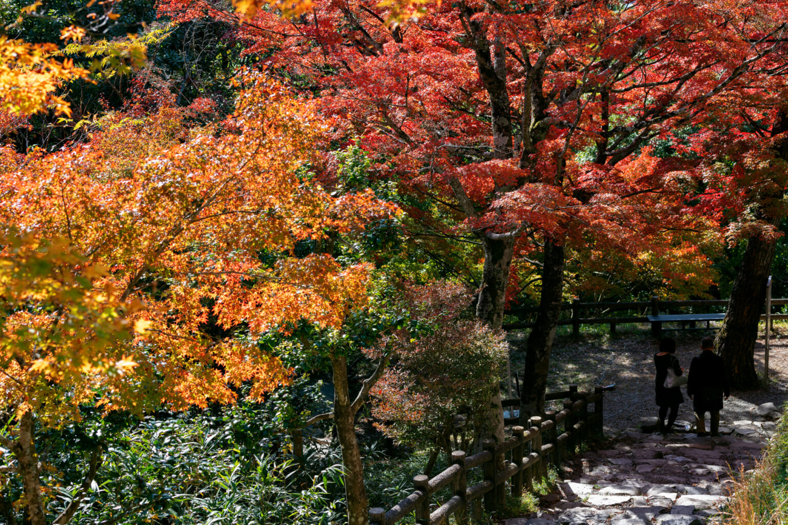 The Best Travel Guide Gujo City | TABITABI Gujo
