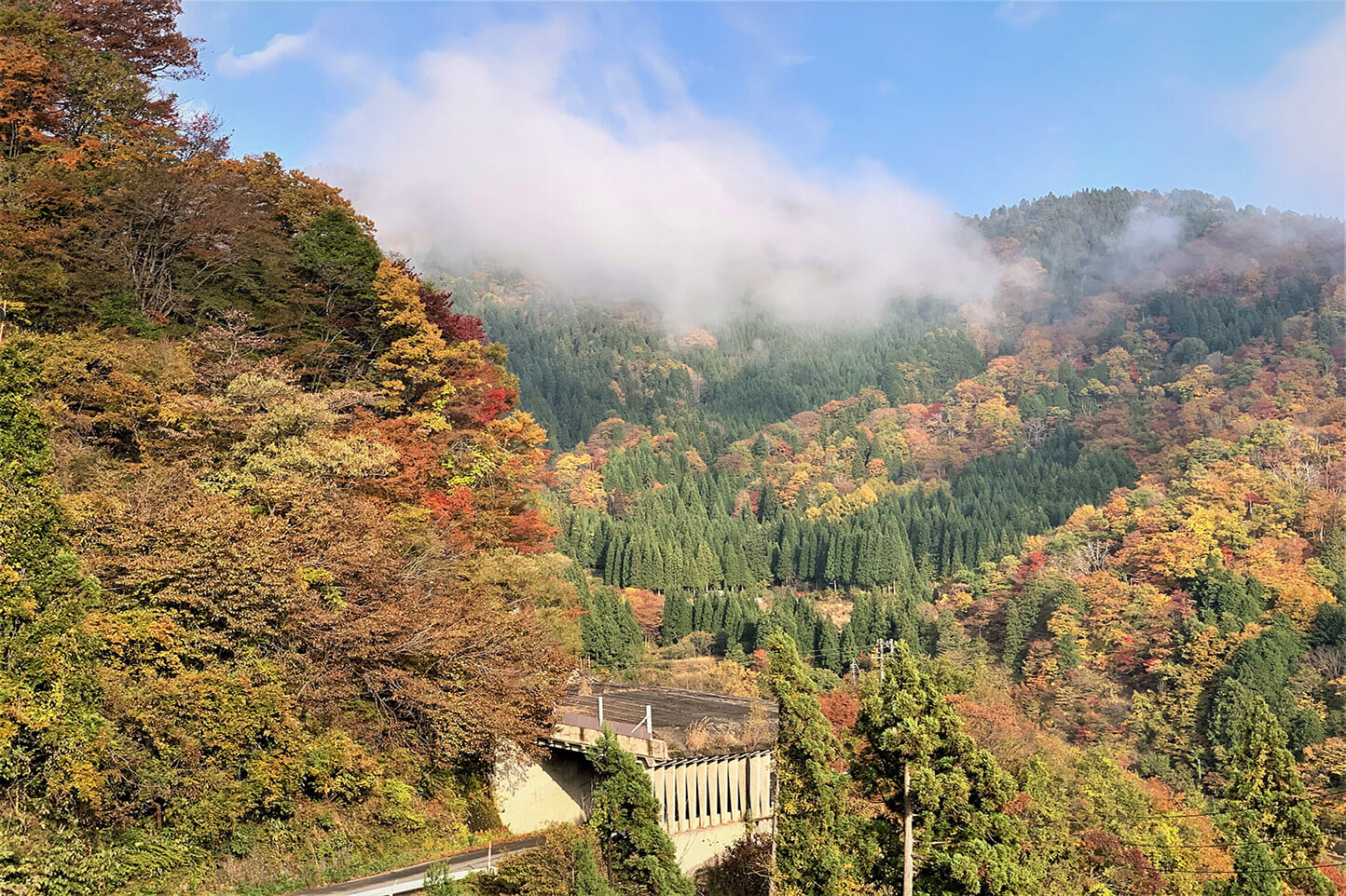 Autumn leaves along the road to Itoshiro (National Route 314) スライダー画像3