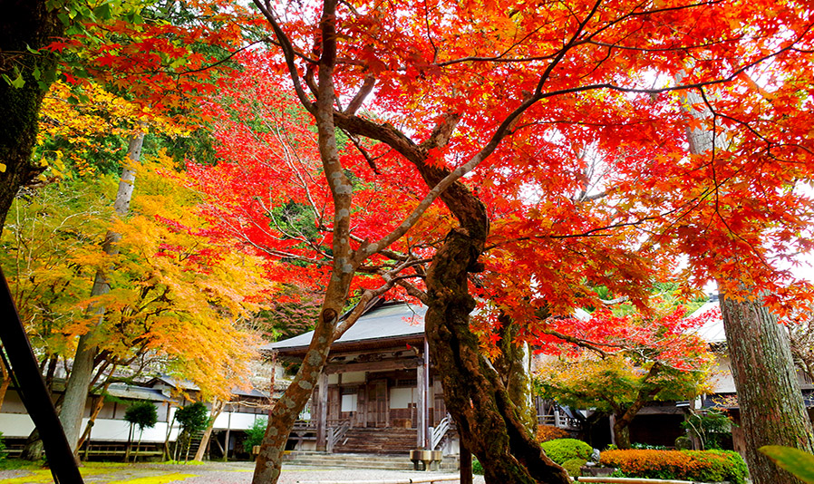 Autumn leaves at Daijyoji Temple スライダー画像2