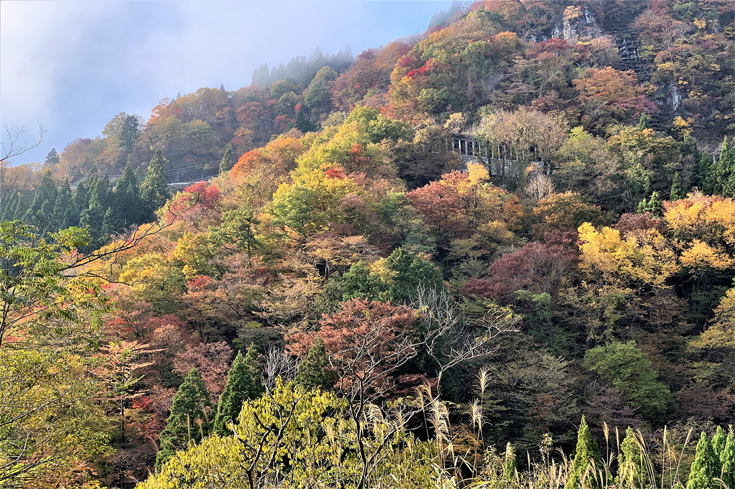 Autumn leaves along the road to Itoshiro (National Route 314) スライダー画像2