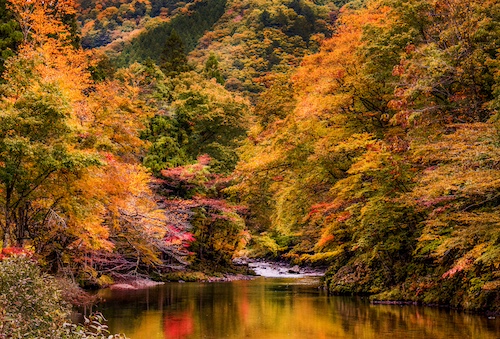 せせらぎ街道の紅葉 スライダー画像2