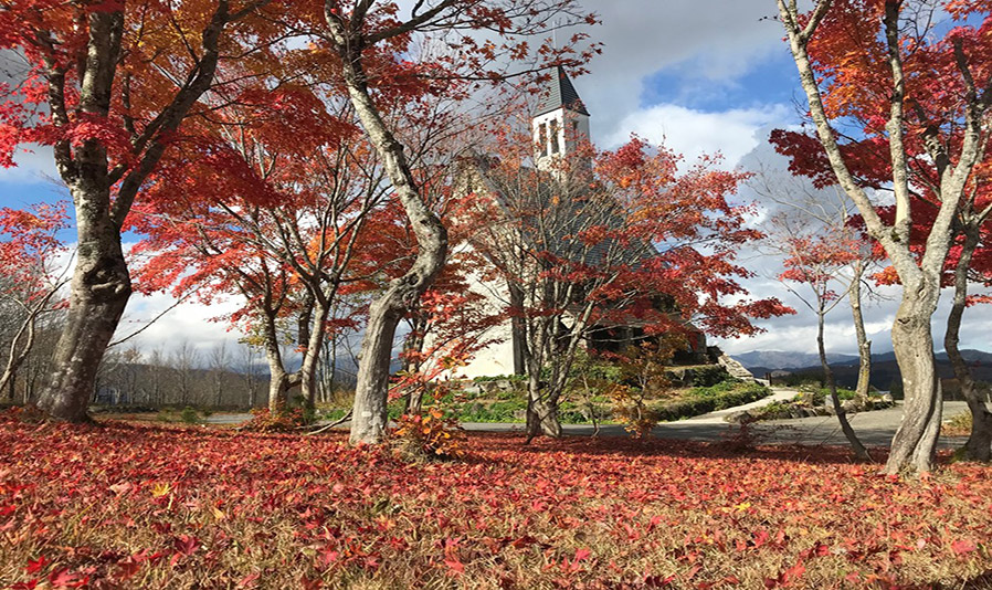Autumn leaves at Bokka-no-sato スライダー画像2