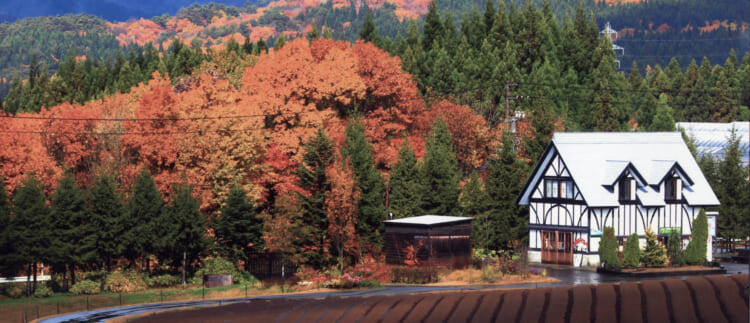 <C_012>Driving Trip to 6 Destinations in Half a Day! Heading to the Attractive Takasu in Autumn