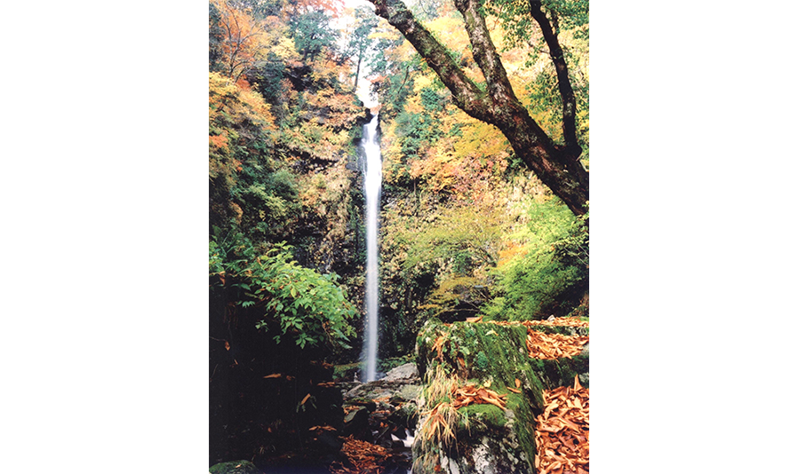 阿弥陀ヶ滝の紅葉 スライダー画像2