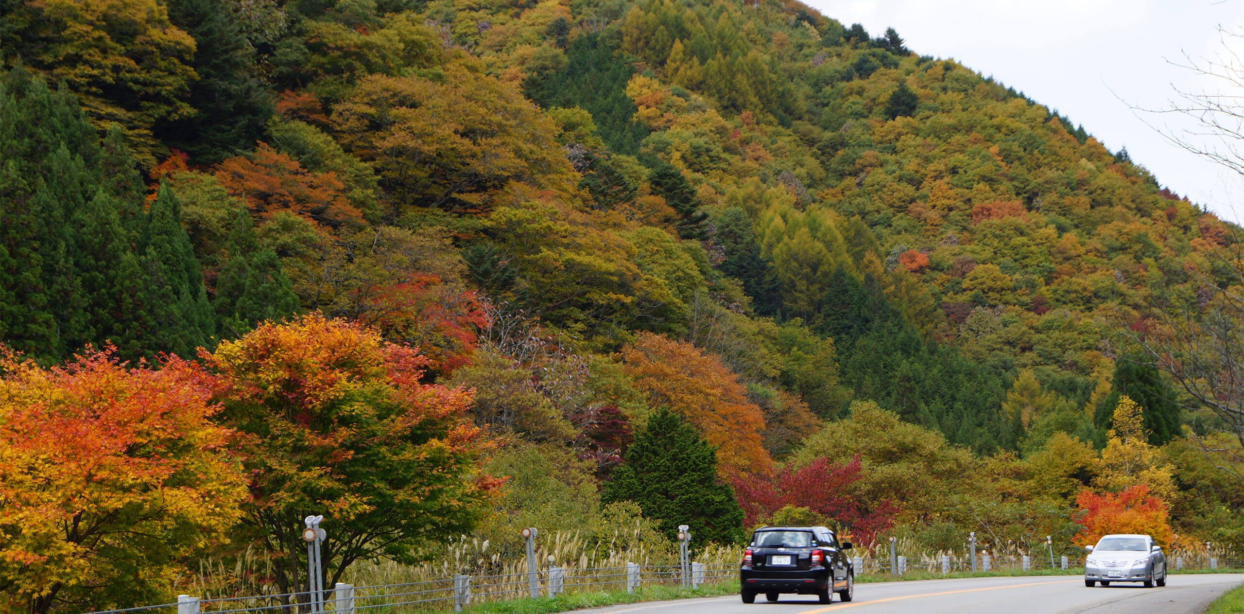 Driving route with seasonal enjoyment, Seseragi Kaido