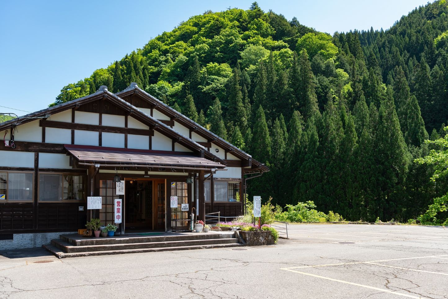 新緑の森を満喫ドライブコース