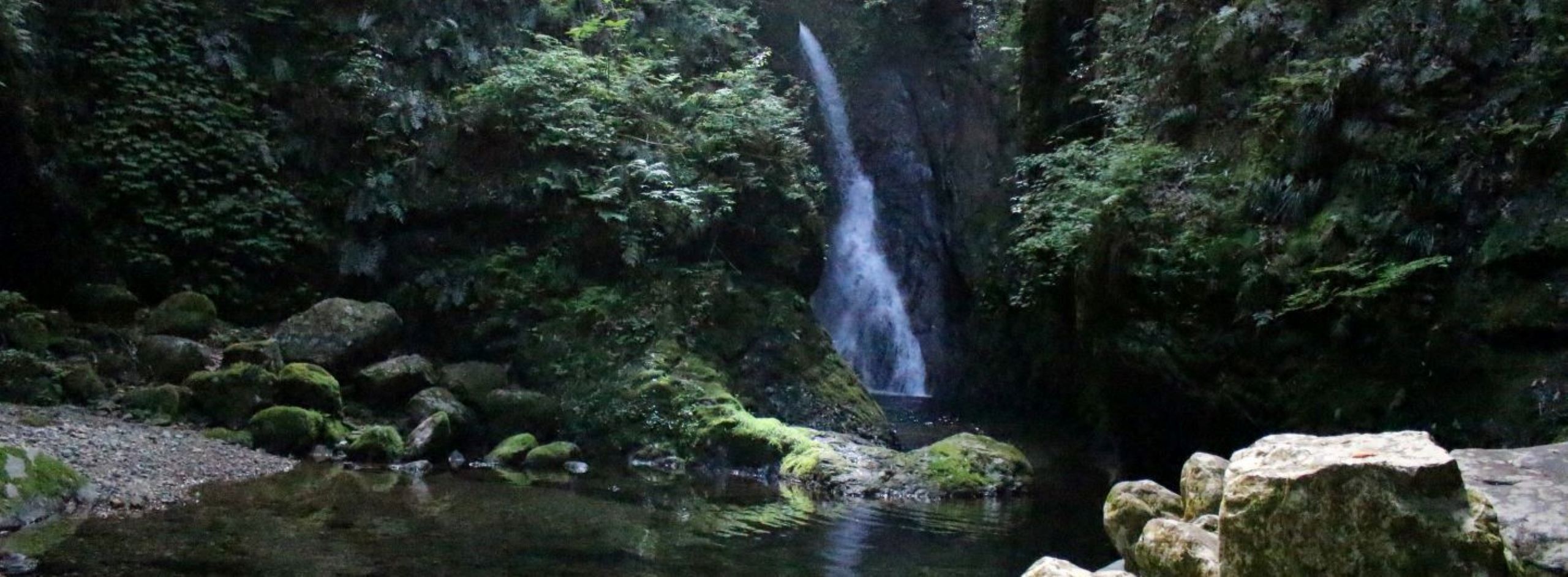 郡上で涼む 夏の避暑地巡りコース