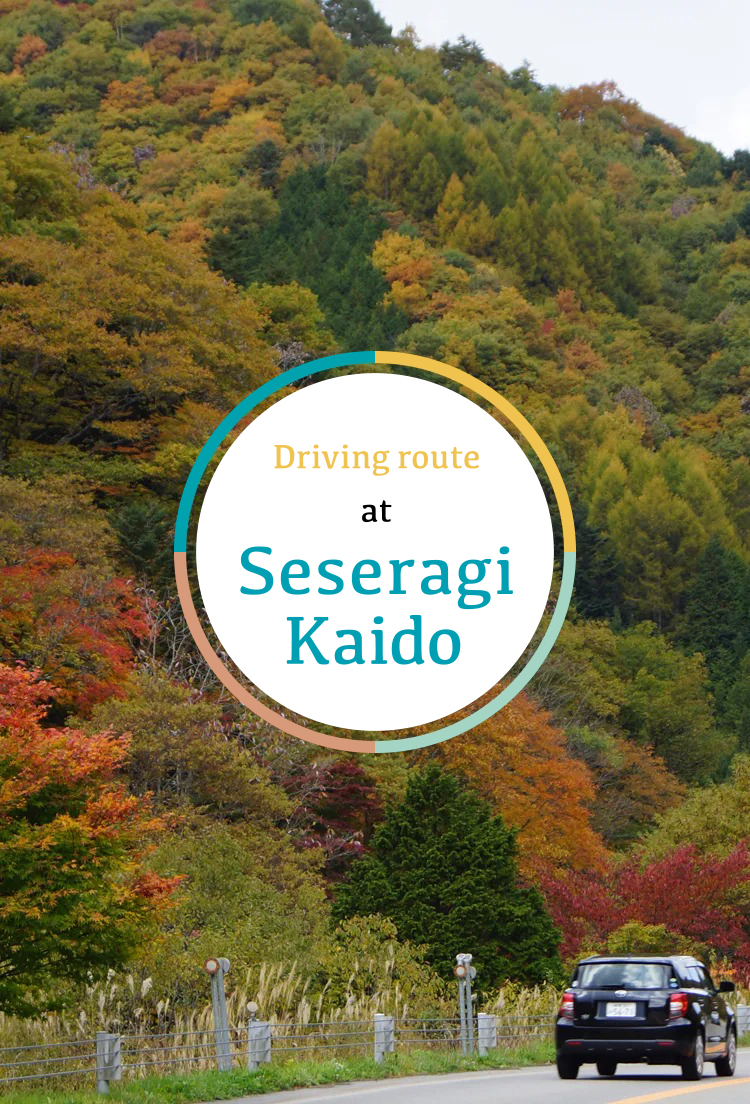 <M_030>Driving route with seasonal enjoyment, Seseragi Kaido