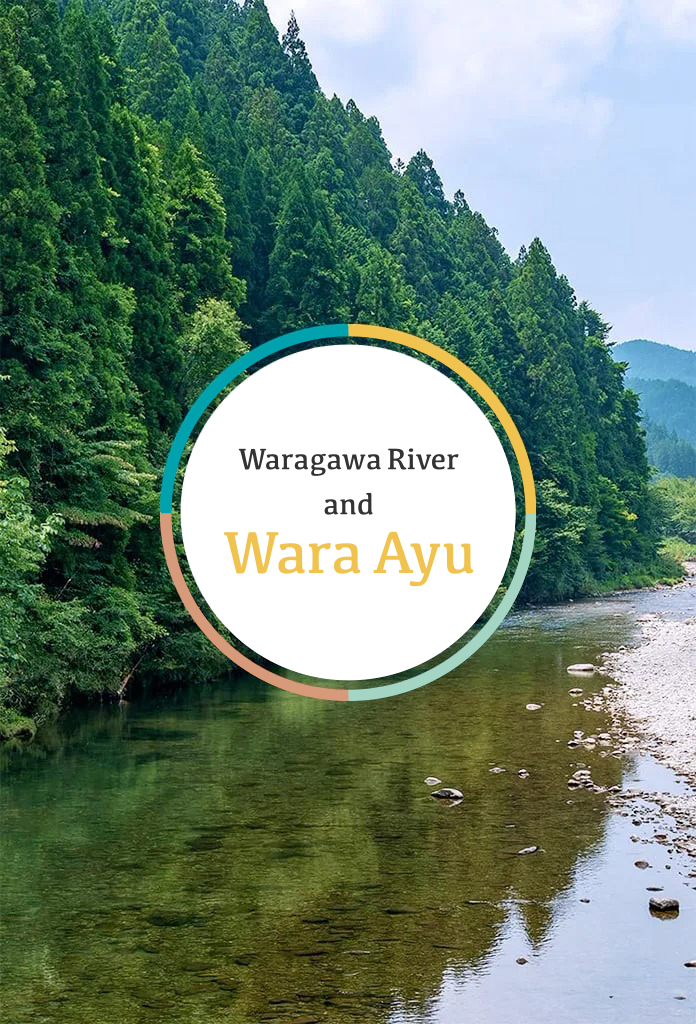 <M_031>Waragawa River and Wara Ayu