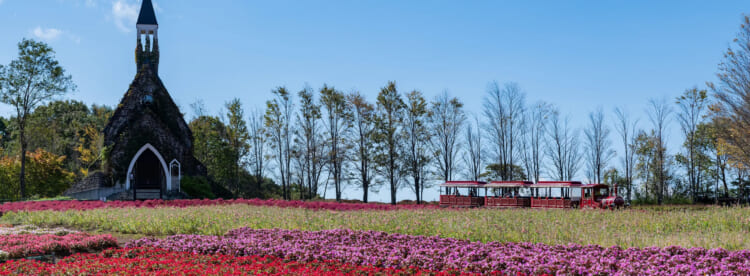 さわやか快適!ひるがの高原避暑デートコース