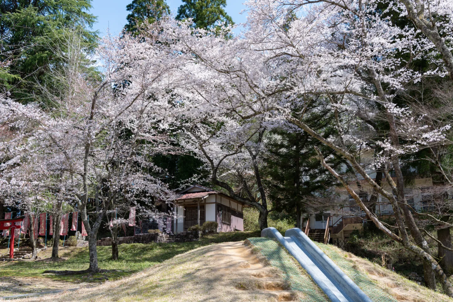 愛宕公園 | 【TABITABI郡上】