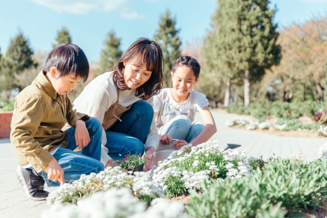 母親と2人の子供がしゃがんで花を見ている