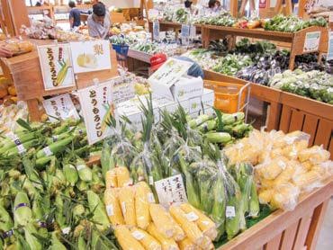 たくさんの新鮮な野菜が陳列されている道の駅の野菜売り場