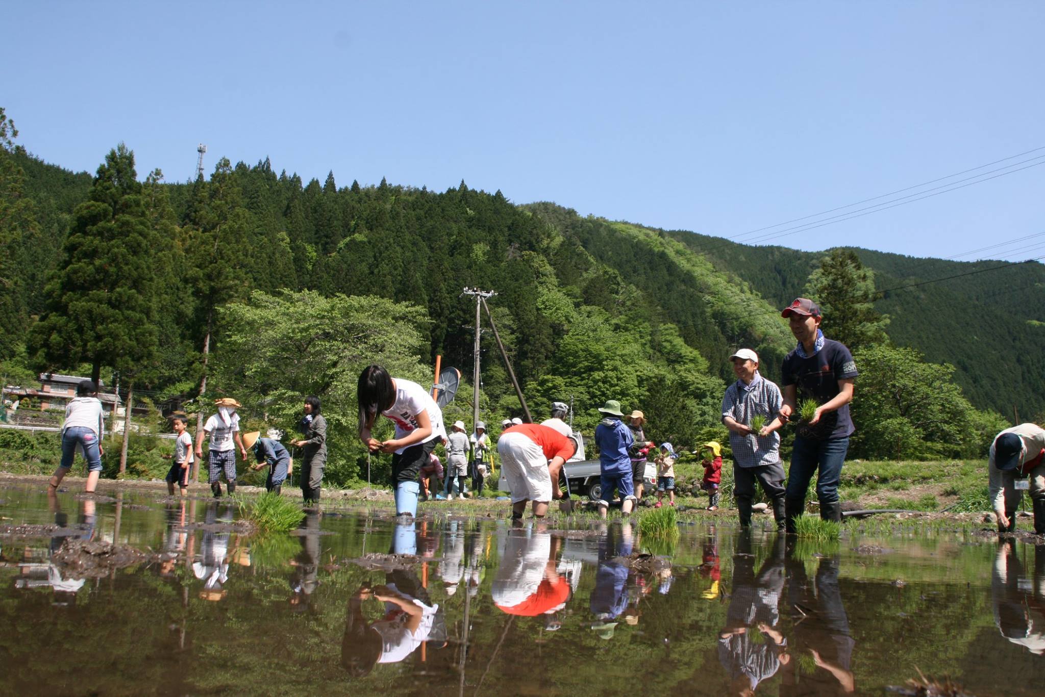 田植えをする人々