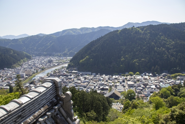 山の上から見下ろした郡上の街