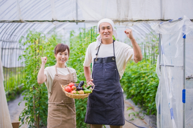 収穫した野菜が入ったカゴを持つ夫婦