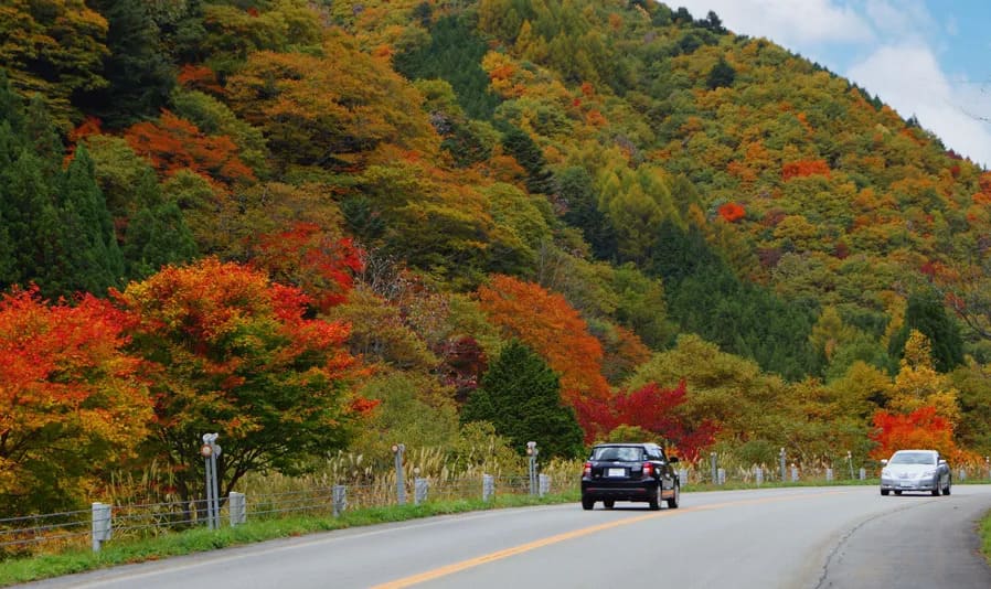 紅葉しはじめた山