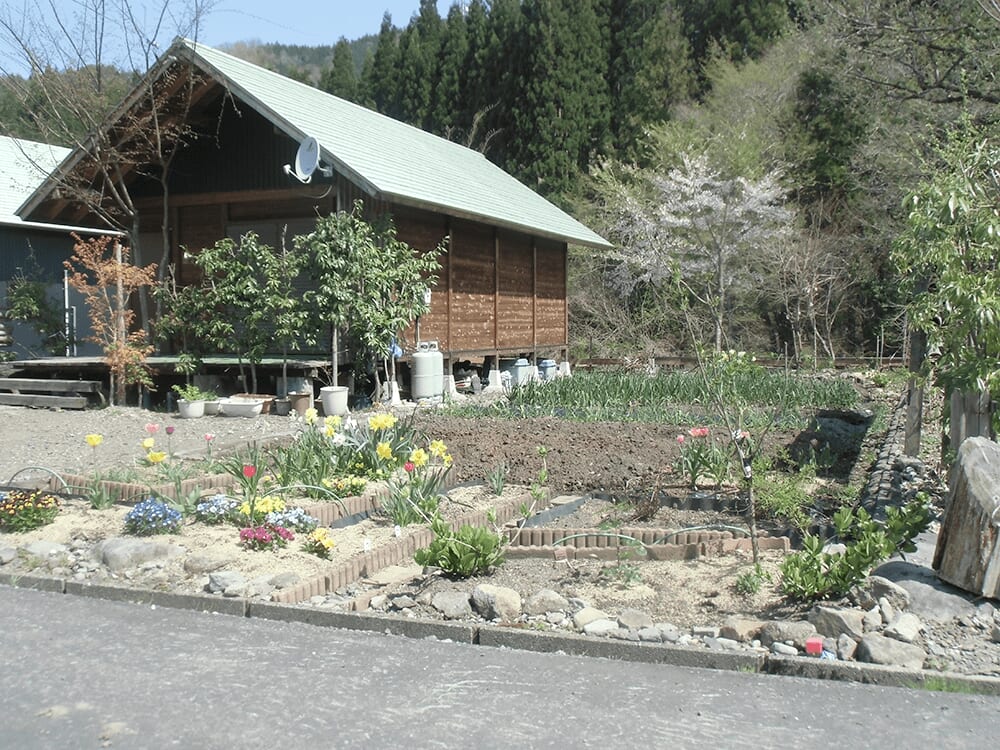 庭に並んだ花と奥に見える宿