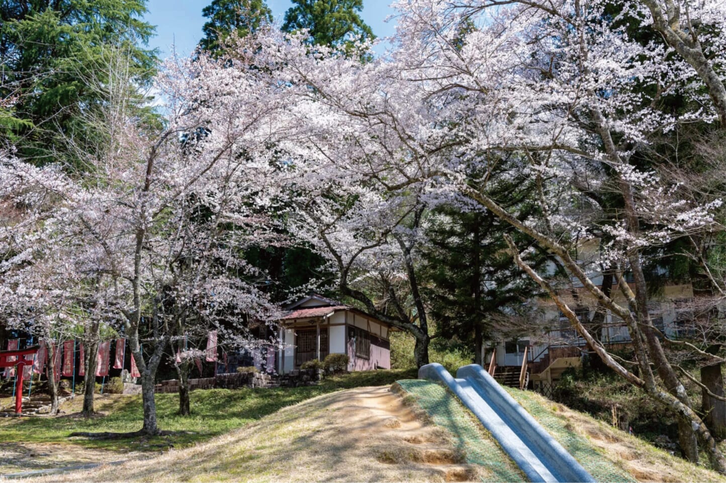 満開の桜を眺める、春のお花見ドライブデートコース