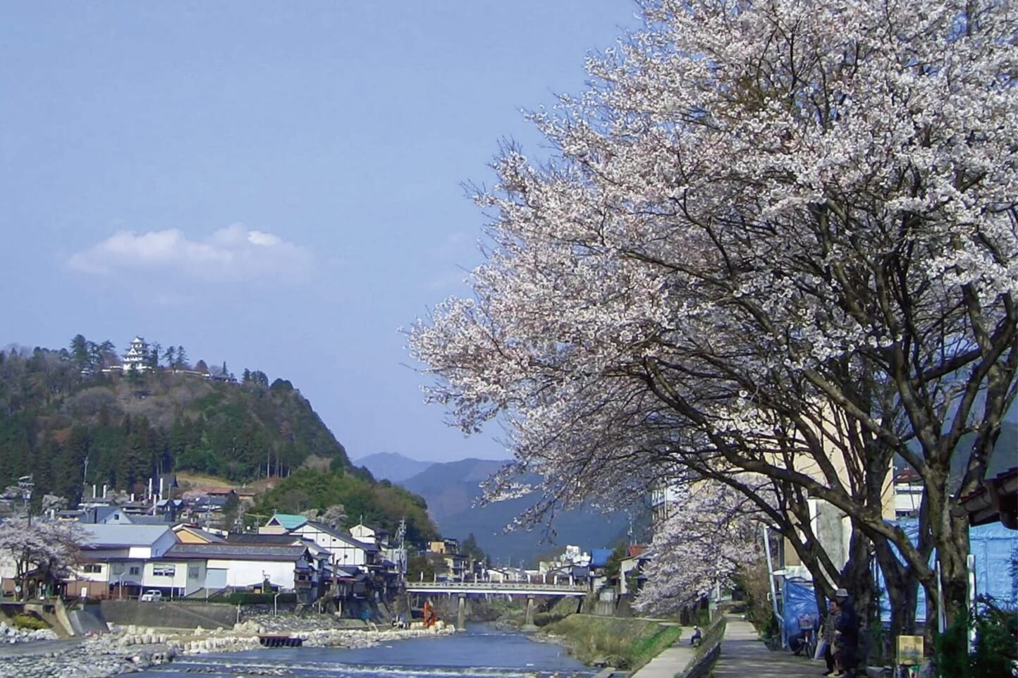 満開の桜を眺める、春のお花見ドライブデートコース