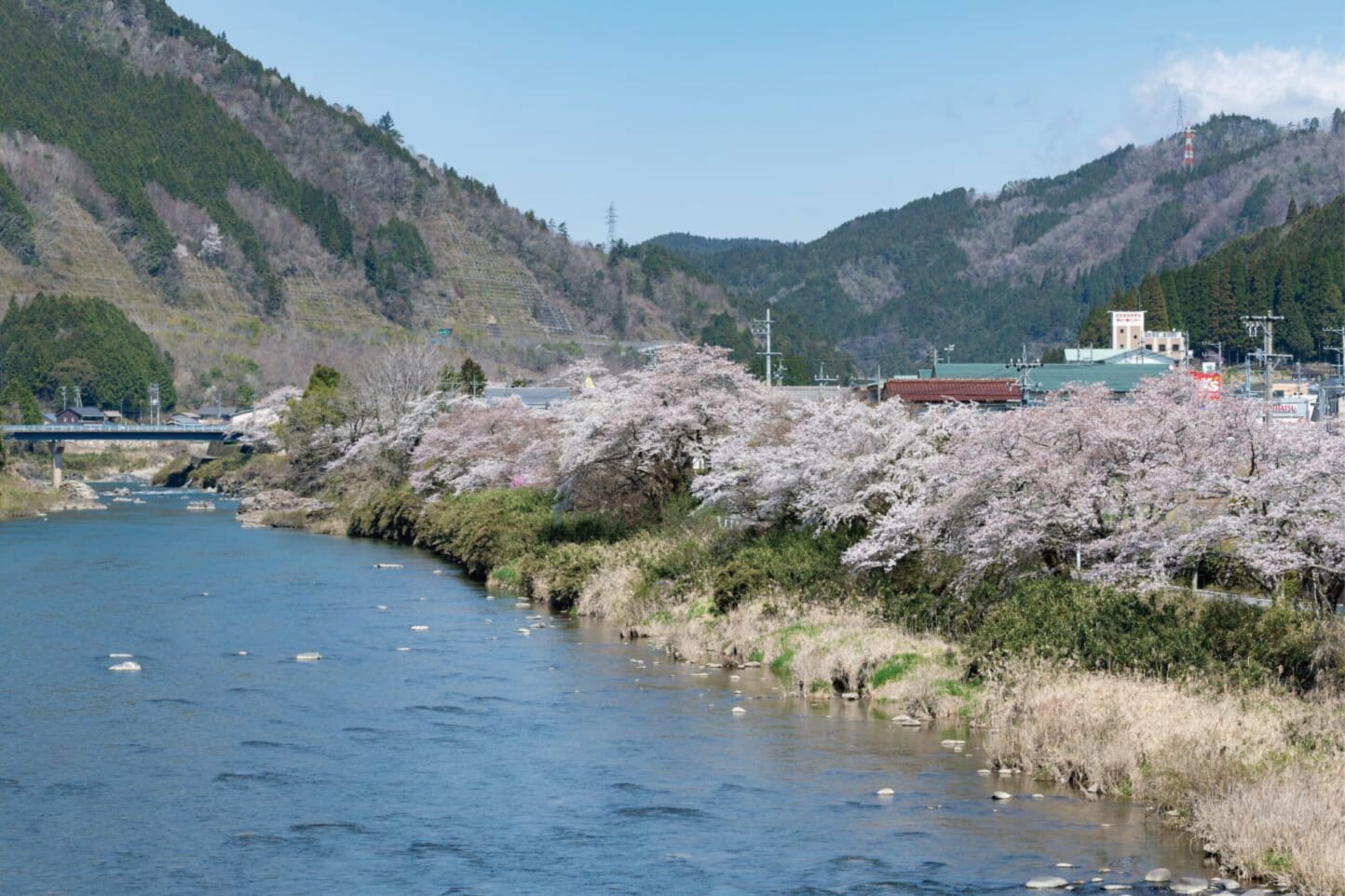 満開の桜を眺める、春のお花見ドライブデートコース