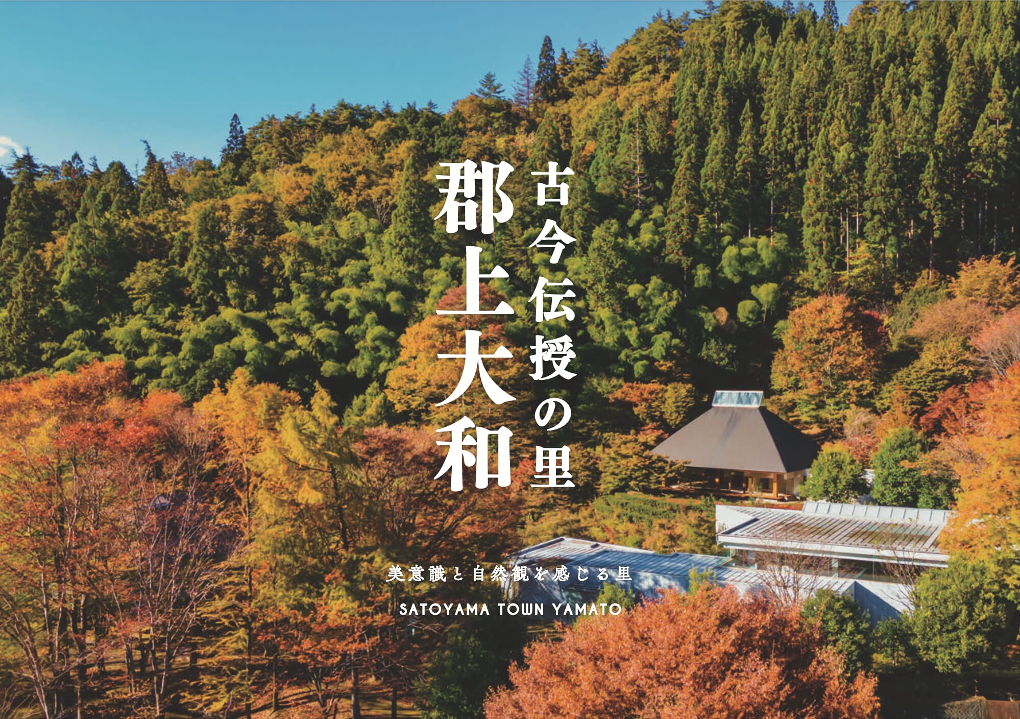 郡上大和