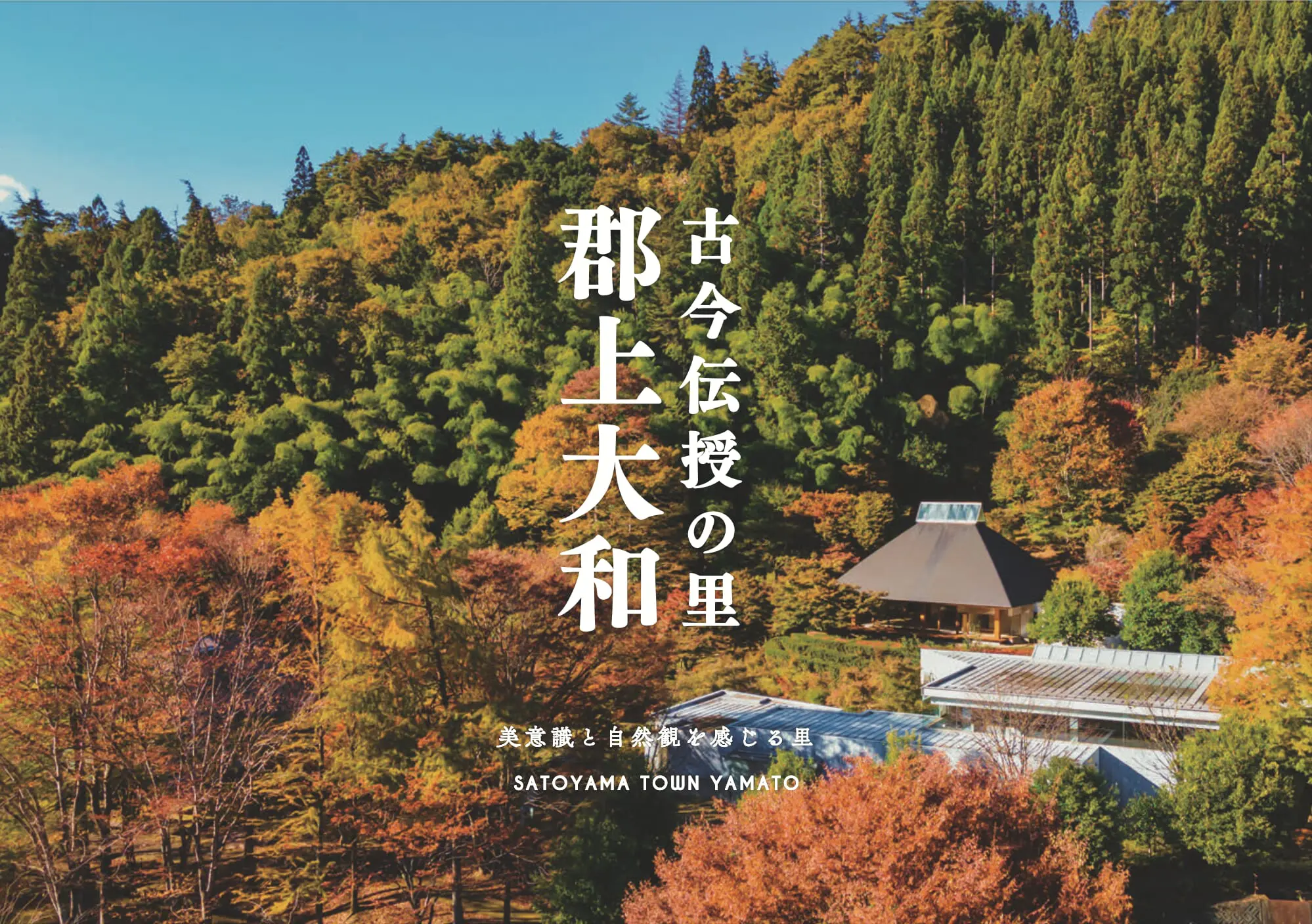 郡上大和