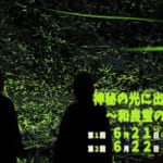 神秘の光に出会う夜～和良蛍の夕べ～ スライダー画像1