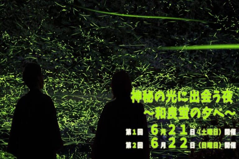 神秘の光に出会う夜～和良蛍の夕べ～