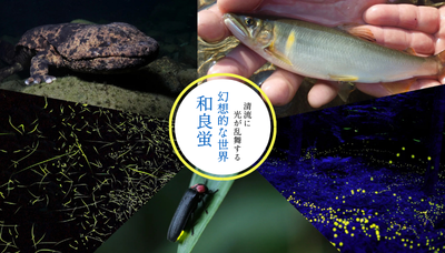 幻想的な世界　和良蛍