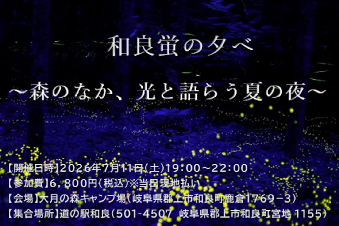 姫蛍と出会う夜 ~和良の森の時間~ スライダー画像1