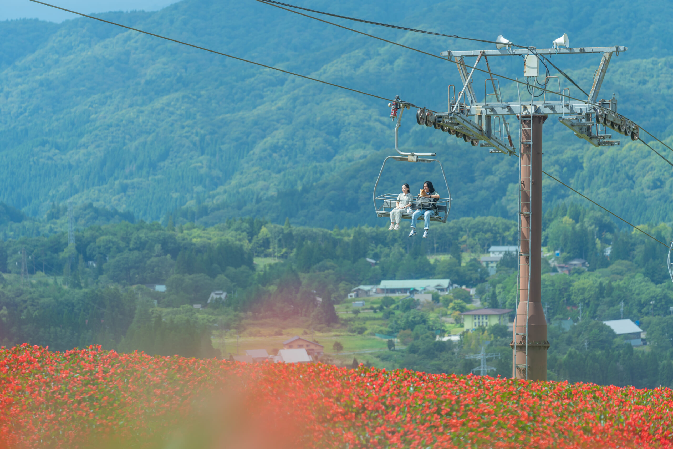 ワンコと巡る!1泊2日の郡上旅