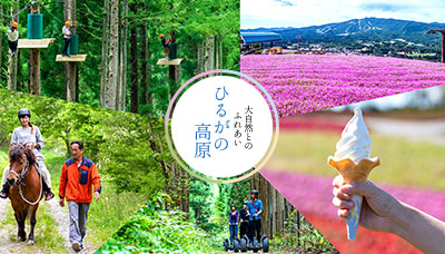 大自然とのふれあい「ひるがの高原」