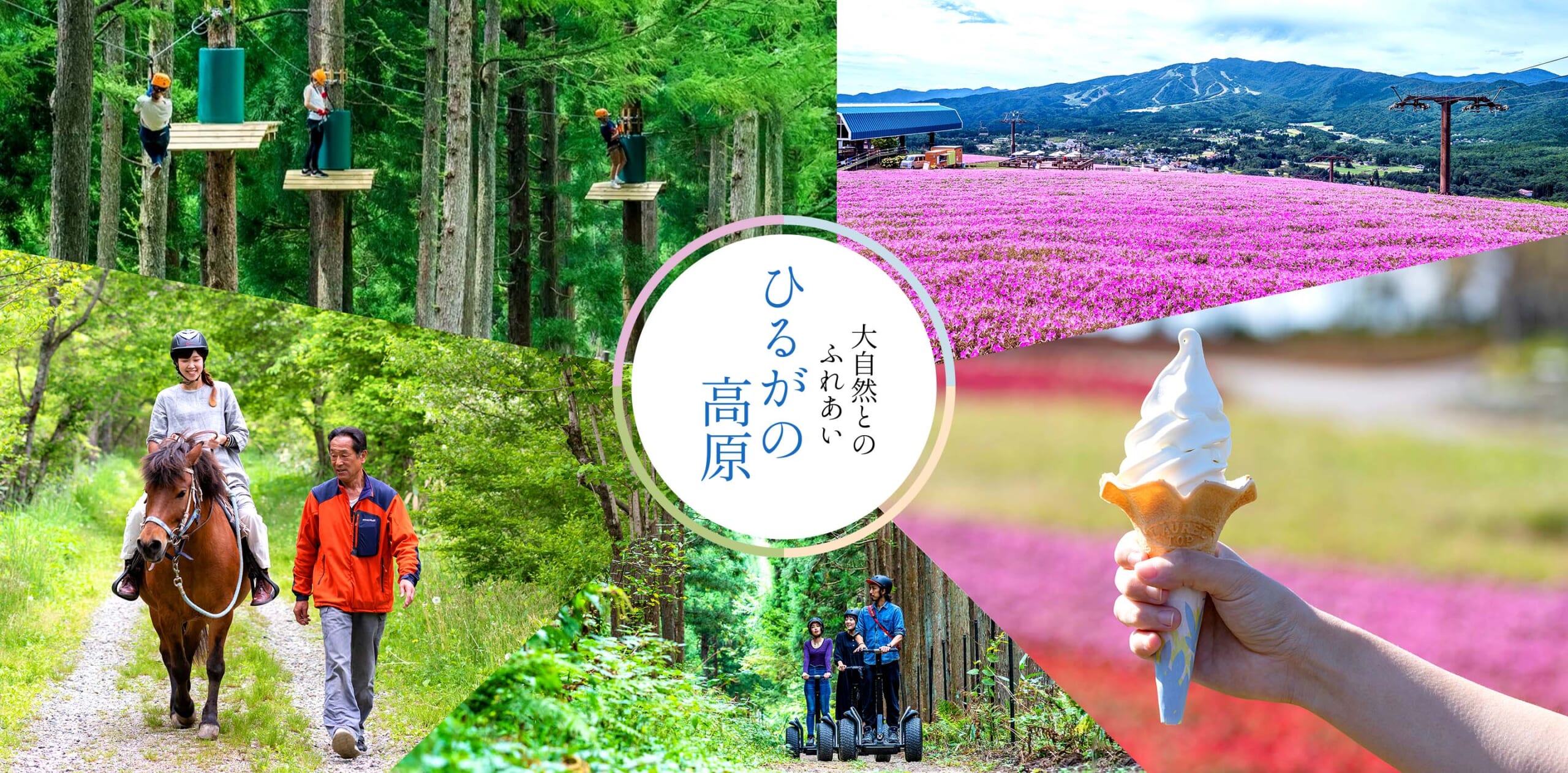 大自然とのふれあい「ひるがの高原」