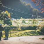 秋の郡上大和を楽しむ e-bike サイクリング スライダー画像1