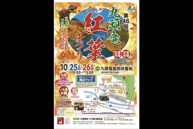 第46回 九頭竜紅葉まつり(郡上おどり・白鳥おどり開催)