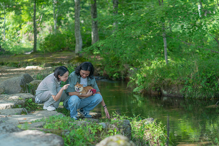ワンコと巡る!1泊2日の郡上旅