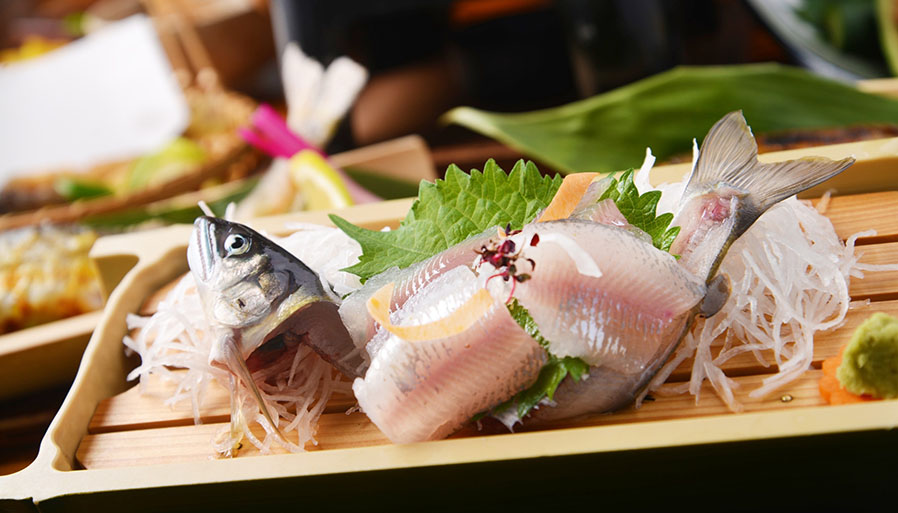 ワンコと巡る!1泊2日の郡上旅