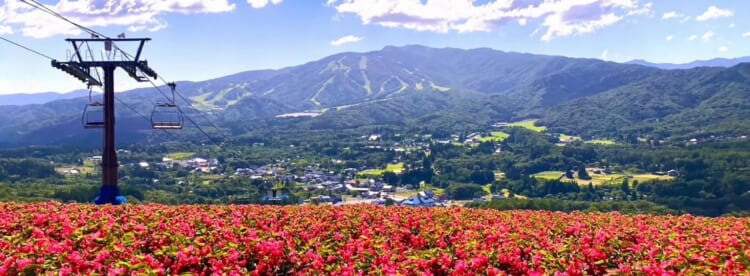 ひるがの高原で涼しく遊ぶモデルコース