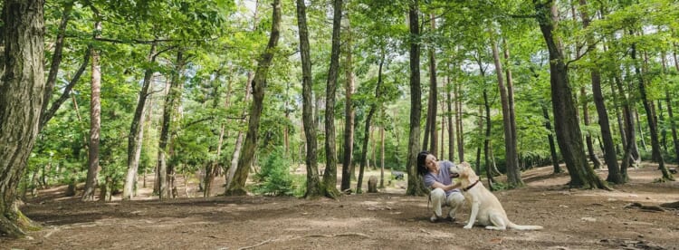 ペットファーストで楽しむひるがの高原避暑の旅