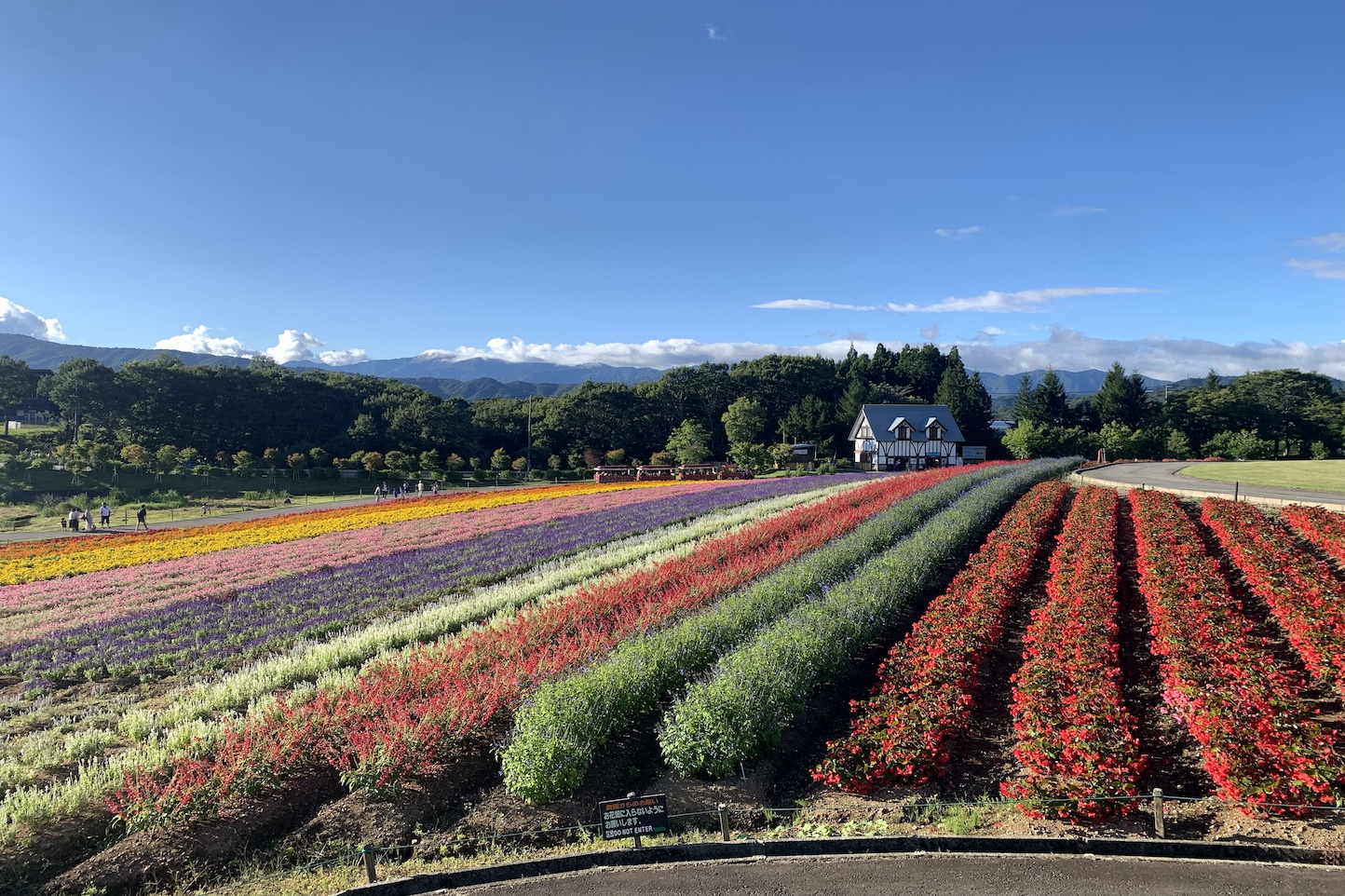人気!ひるがの高原・高鷲の自然スポットを満喫できるモデルコース