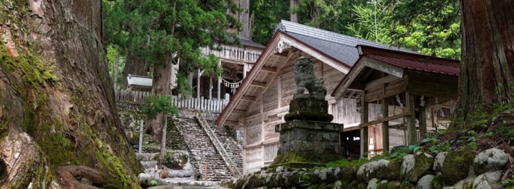 水と祈りをたどる。長良川源流域リトリートコース