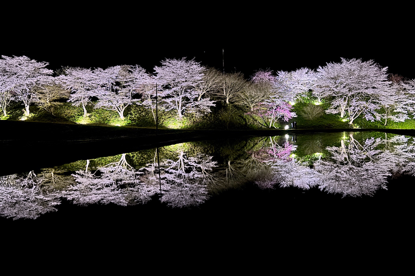 小川宮下の桜 スライダー画像1