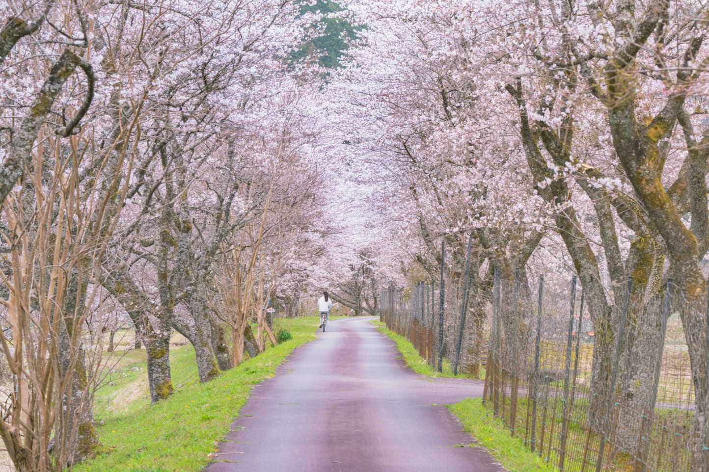 和良川公園オートキャンプ場 スライダー画像1