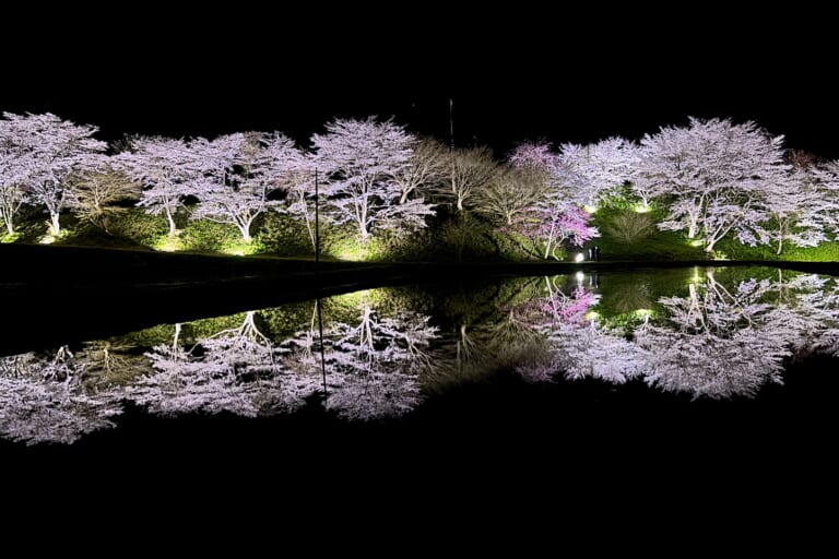 小川宮下の桜 スライダー画像1
