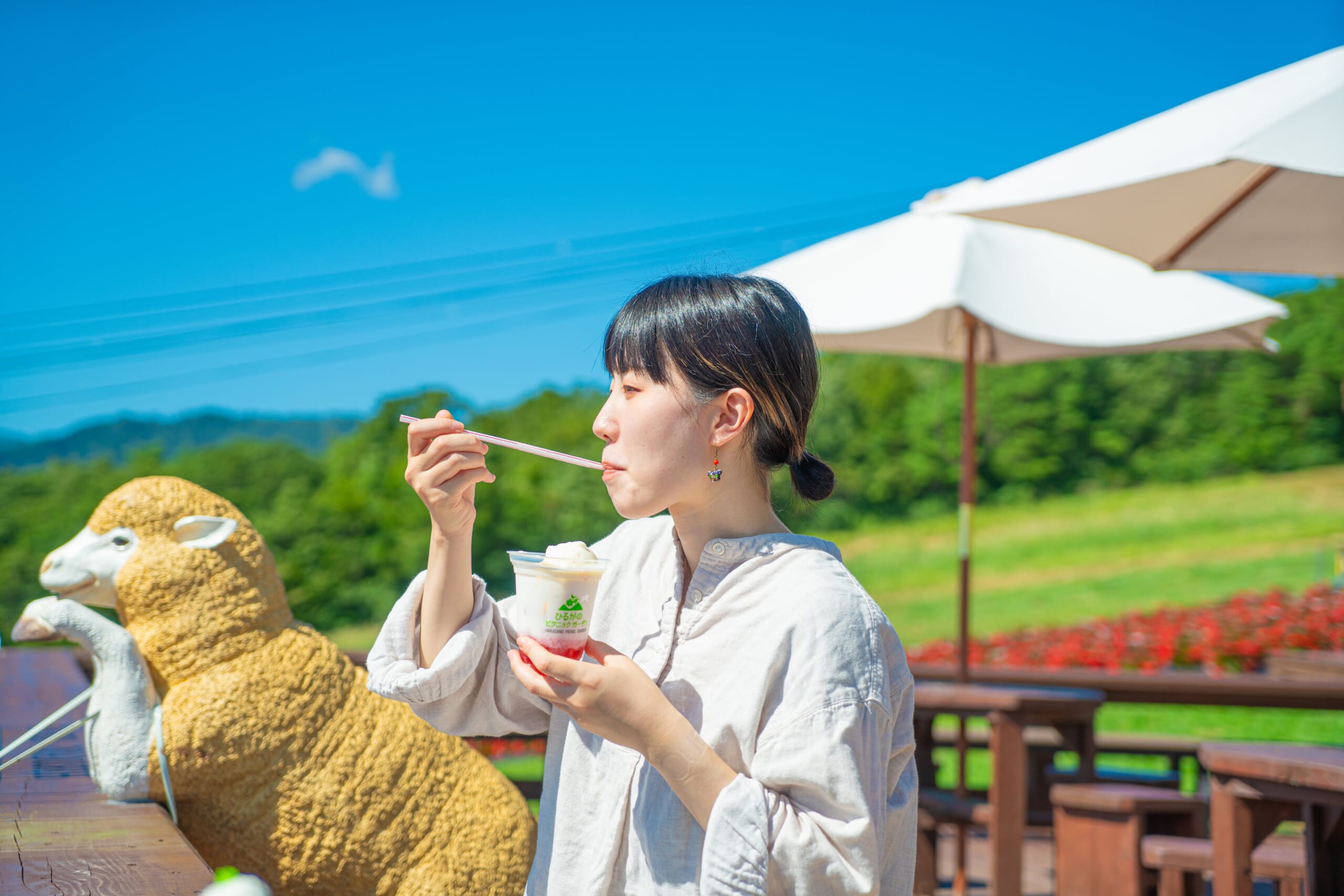 ひるがのピクニックガーデン画像04